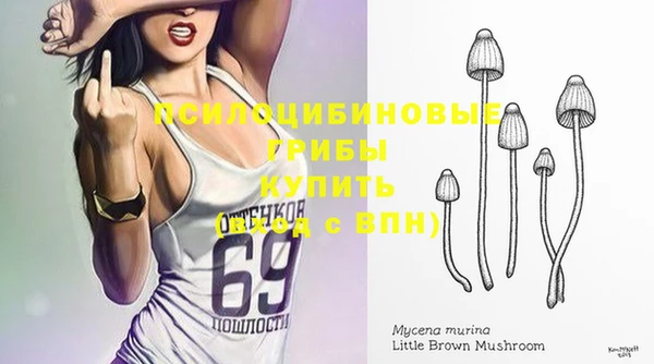 СК Михайлов