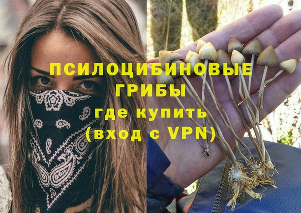 дурь Медногорск