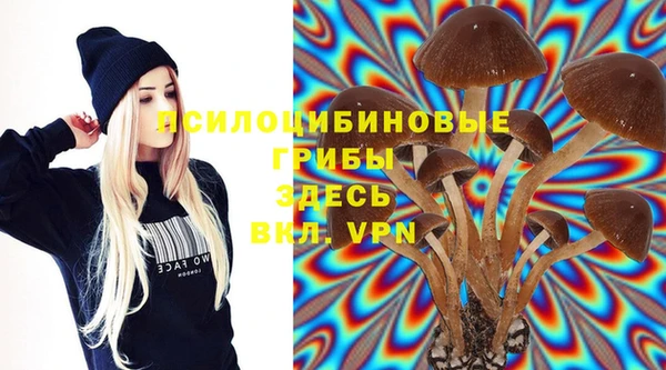 тгк Михайловск