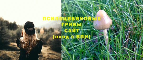 тгк Михайловск