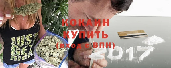 СК Михайлов