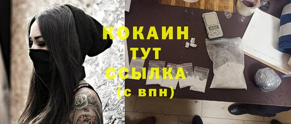 тгк Михайловск